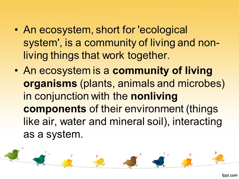 An ecosystem, short for ecological system , is a community of living and non-living things that work together.