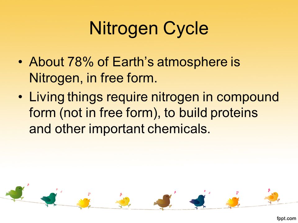 Nitrogen Cycle About 78% of Earth’s atmosphere is Nitrogen, in free form.