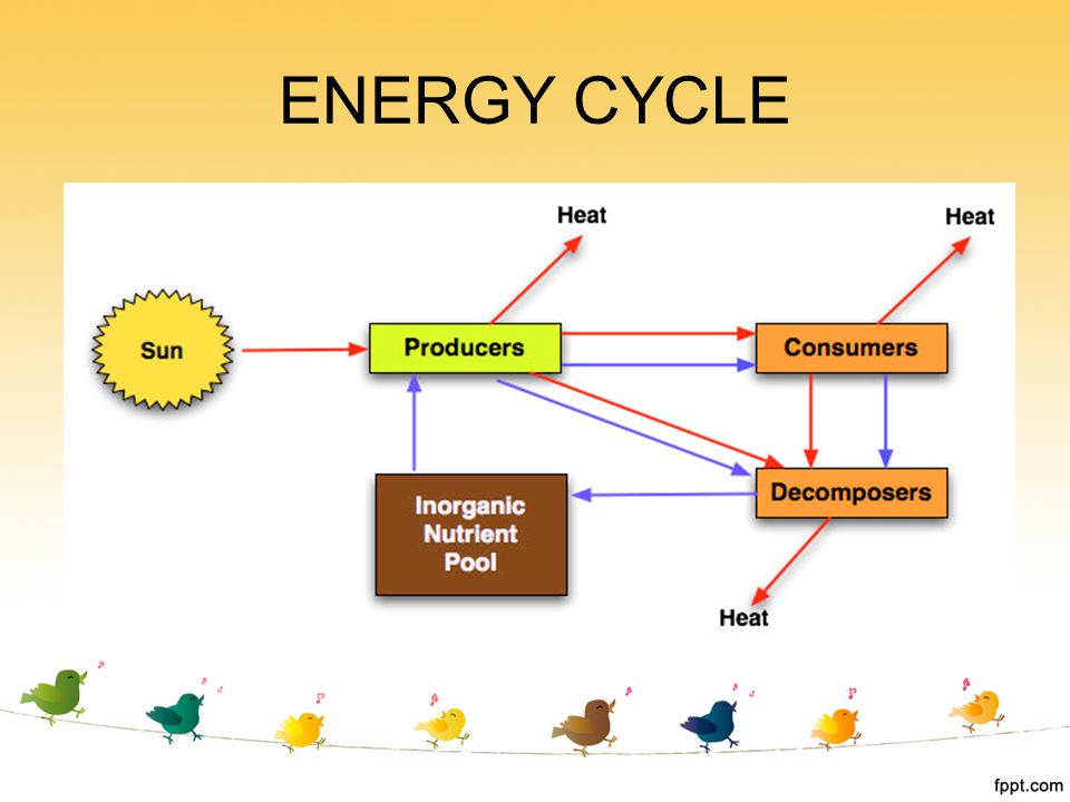 ENERGY CYCLE