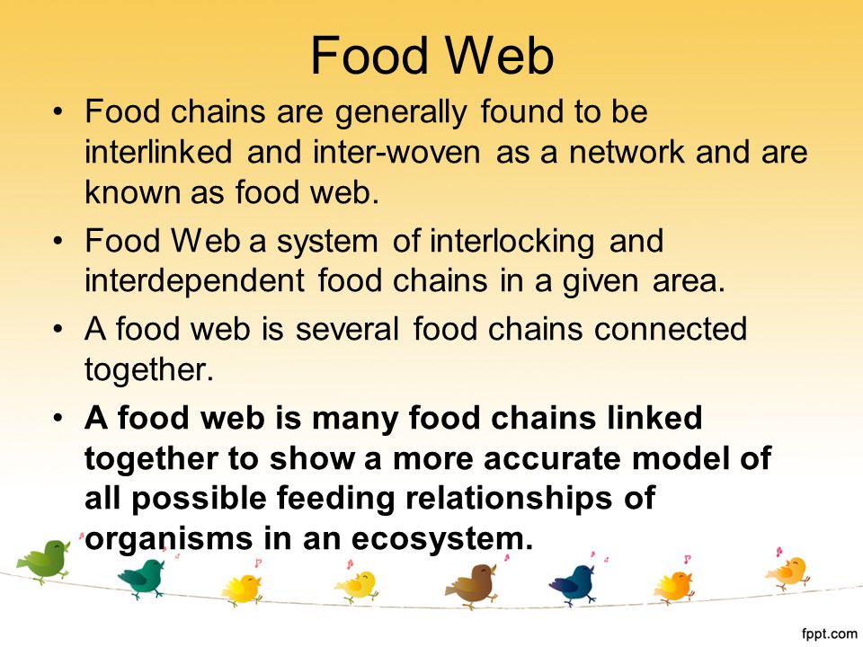 Food Web Food chains are generally found to be interlinked and inter-woven as a network and are known as food web.