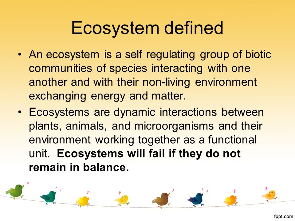 Ecosystem defined