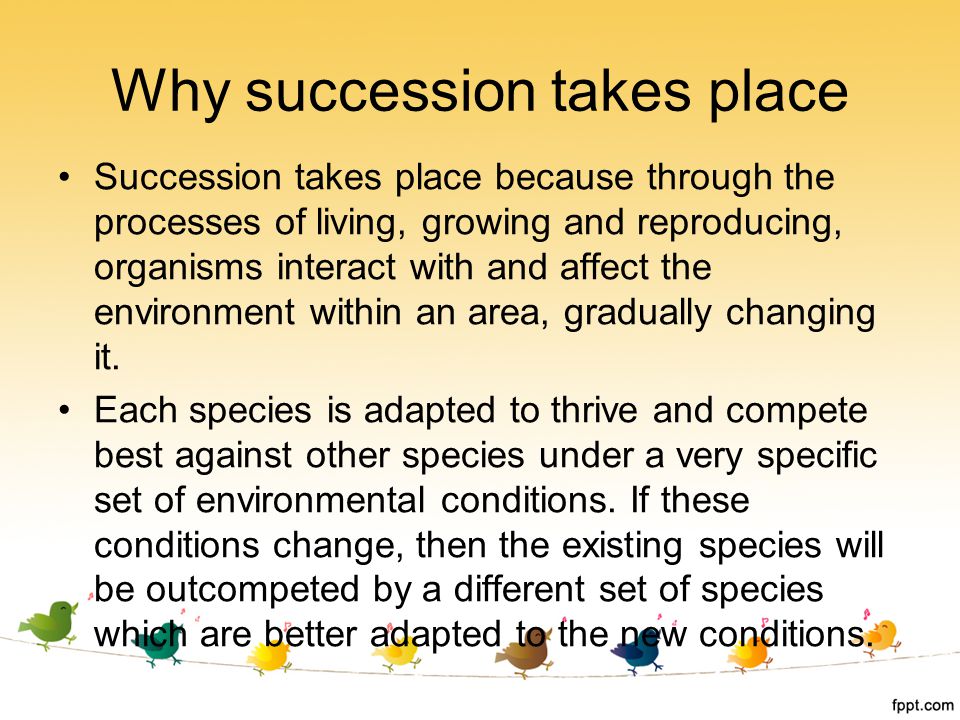 Why succession takes place