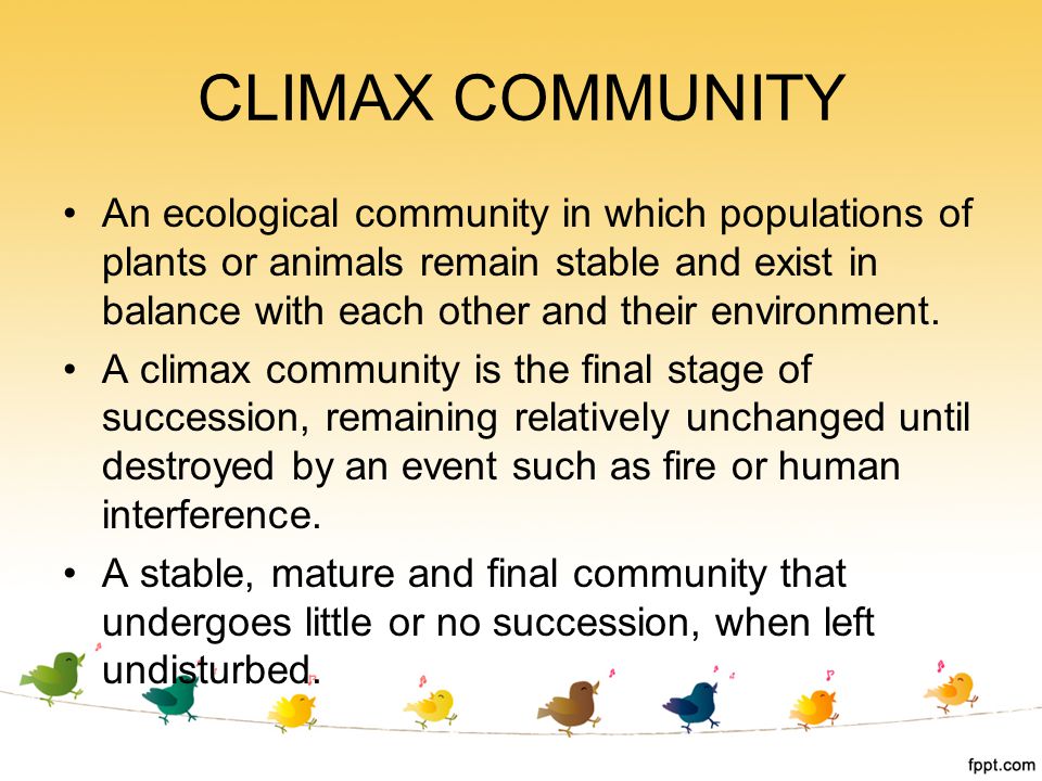 CLIMAX COMMUNITY