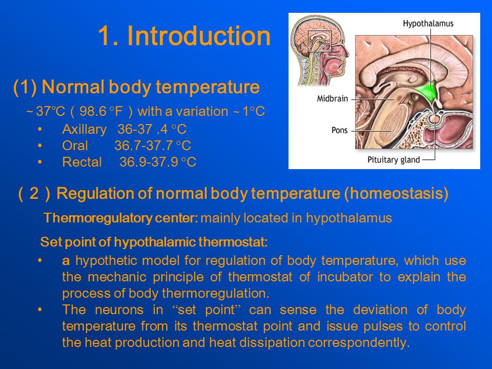 Fever thermometer 1.Introduction 2.Causes and mechanisms of fever - ppt  download