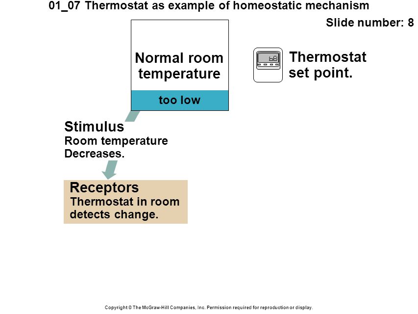 01_07 Thermostat as example of homeostatic mechanism