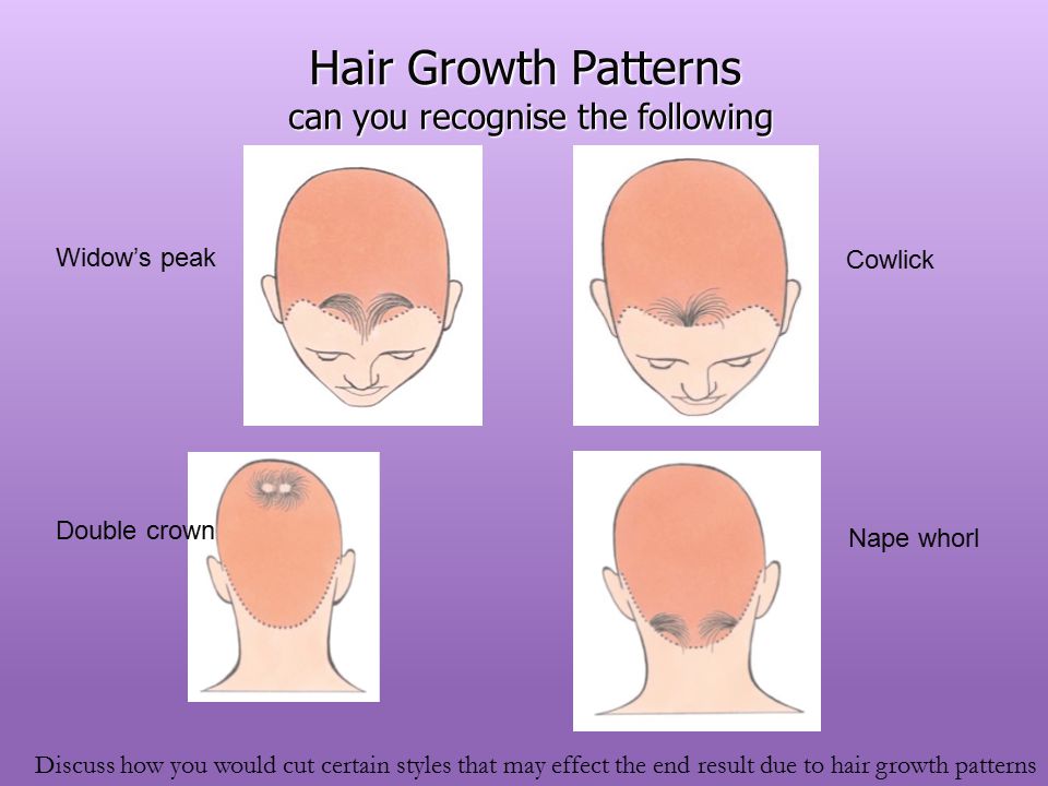 Unit 206 Cutting Women's Hair - ppt video online download Unit 206 Cutting Women's Hair - ppt video online download