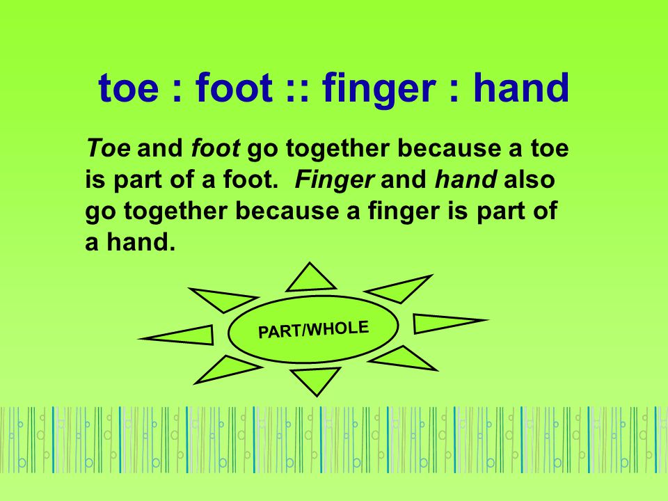 toe : foot :: finger : hand