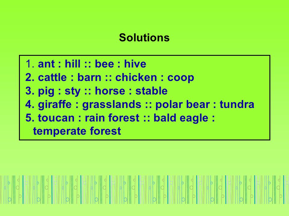 Solutions 1. ant : hill :: bee : hive. 2. cattle : barn :: chicken : coop. 3. pig : sty :: horse : stable.