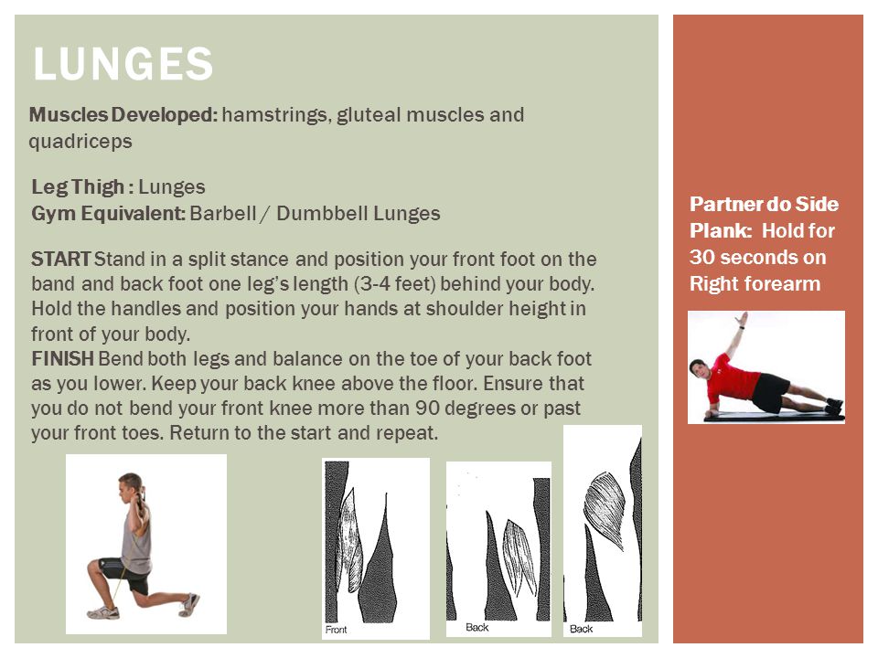LUNGES Muscles Developed: hamstrings, gluteal muscles and quadriceps