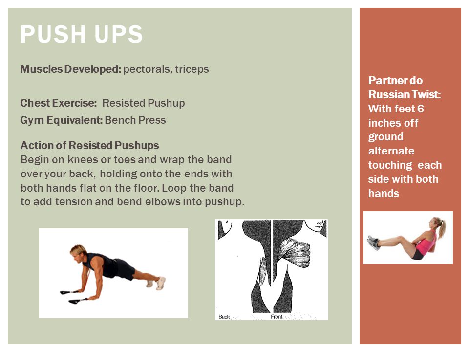 Push Ups Muscles Developed: pectorals, triceps Chest Exercise: Resisted Pushup Gym Equivalent: Bench Press