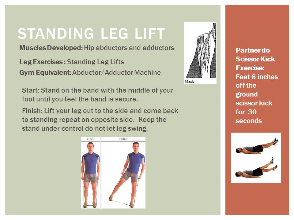 STANDING LEG LIFT Muscles Developed: Hip abductors and adductors Leg Exercises : Standing Leg Lifts Gym Equivalent: Abductor/Adductor Machine