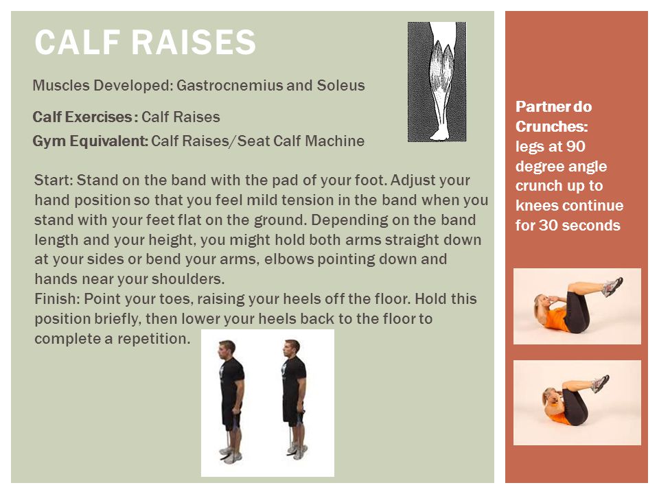 Calf Raises Muscles Developed: Gastrocnemius and Soleus