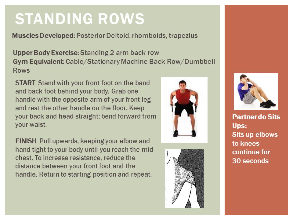 STANDING ROWS Muscles Developed: Posterior Deltoid, rhomboids, trapezius. Upper Body Exercise: Standing 2 arm back row.