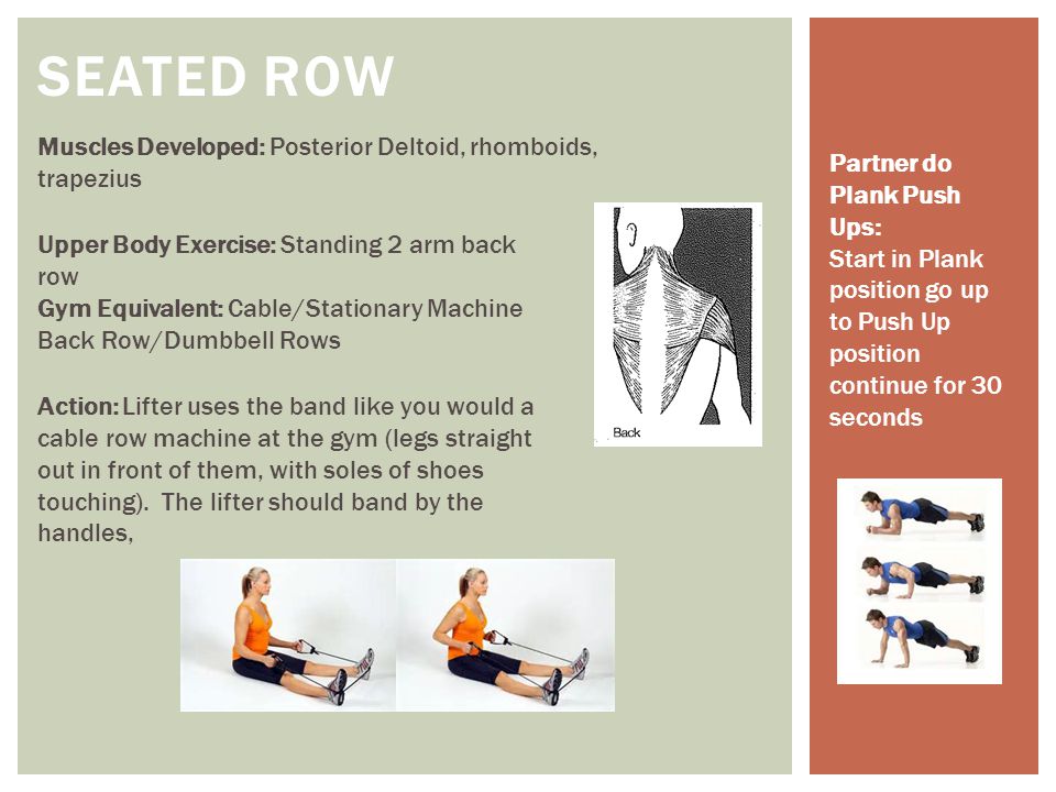 SEATED ROW Muscles Developed: Posterior Deltoid, rhomboids, trapezius