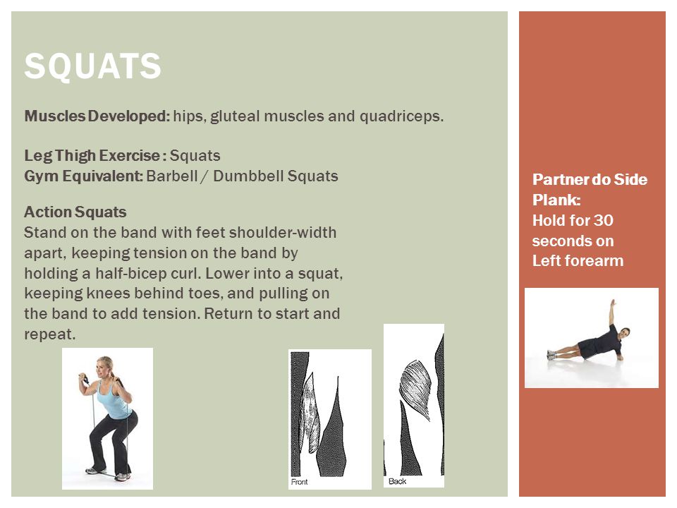 SQUATs Muscles Developed: hips, gluteal muscles and quadriceps.