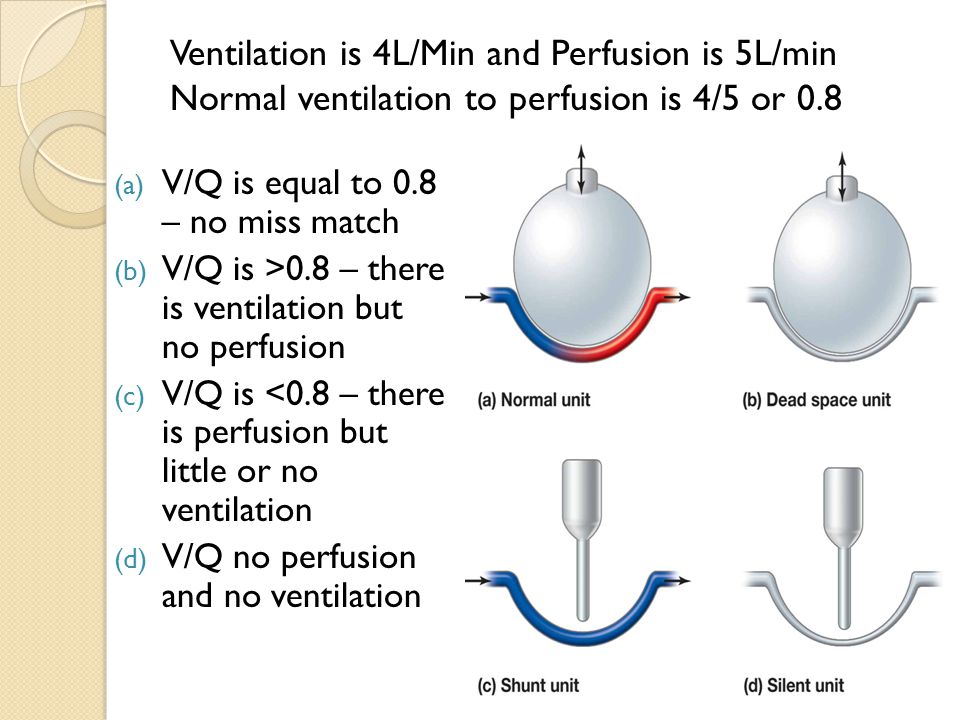 Ventilation is 4L/Min and Perfusion is 5L/min