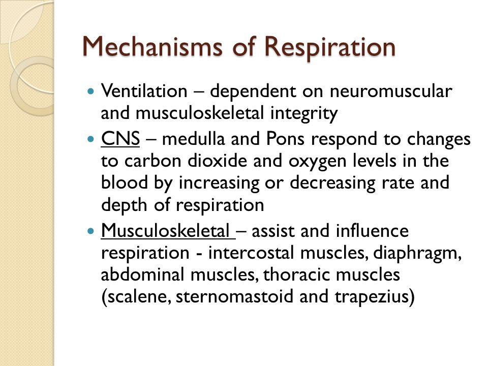 Mechanisms of Respiration