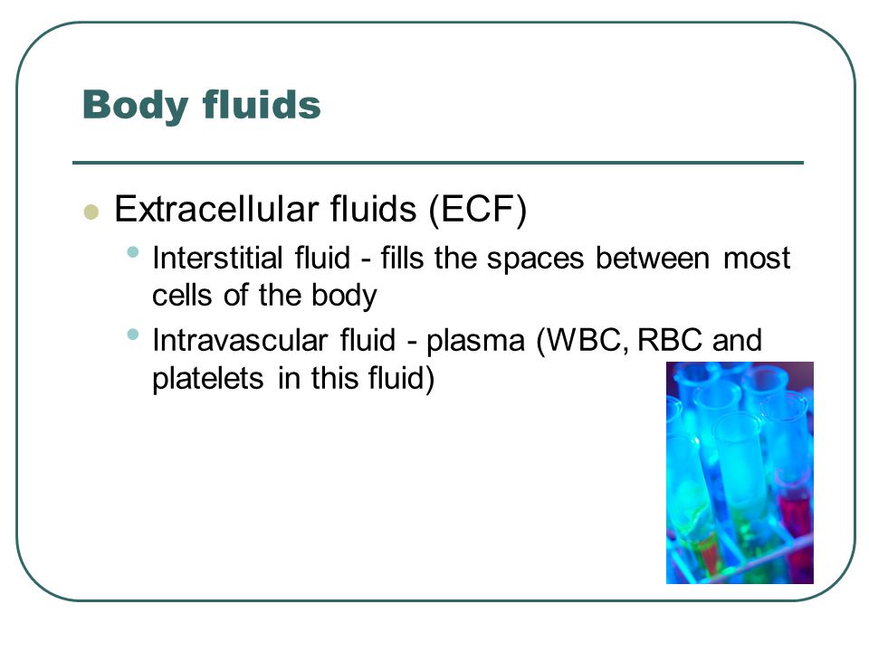 fluid electrolyte and acid base balance introduction to body fluids