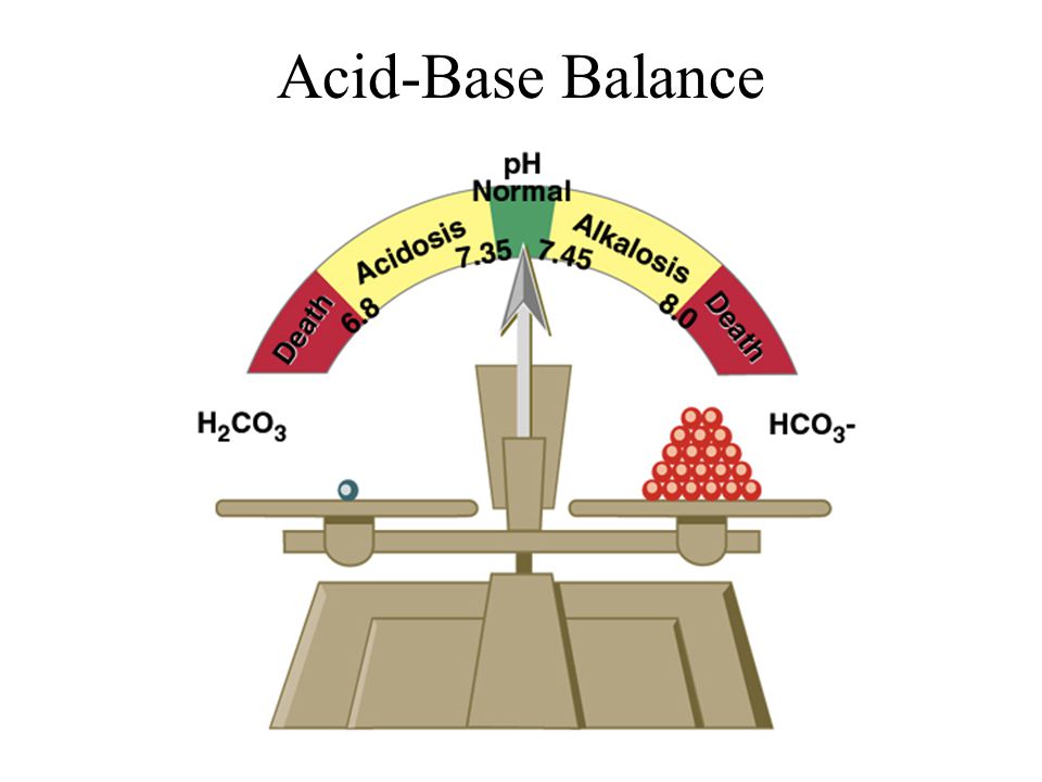 Основной баланс. Кислотно-основное равновесие. Кислотно-основные равновесия. Кислотно-основным равновесием. Кислотно основное равновесие состояние.