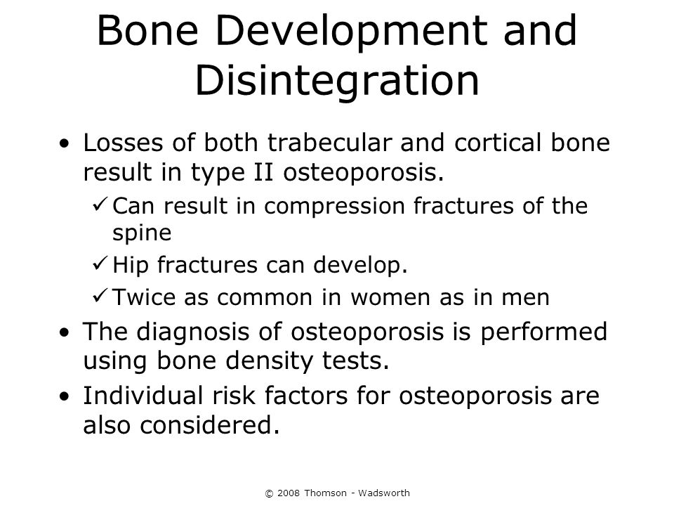 Bone Development and Disintegration