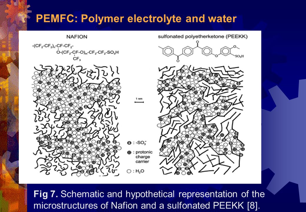 PEMFC: Polymer electrolyte and water