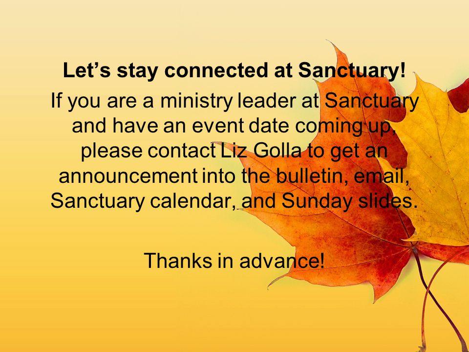 Let’s stay connected at Sanctuary!