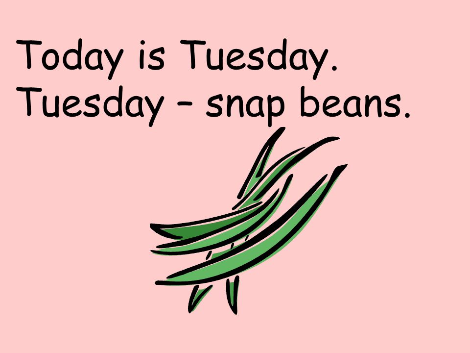 Today is Tuesday. Tuesday – snap beans.
