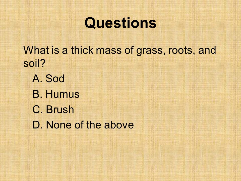 Questions What is a thick mass of grass, roots, and soil.