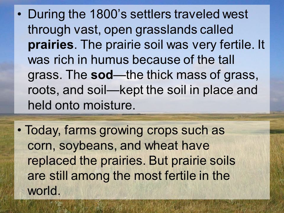 During the 1800’s settlers traveled west through vast, open grasslands called prairies. The prairie soil was very fertile. It was rich in humus because of the tall grass. The sod—the thick mass of grass, roots, and soil—kept the soil in place and held onto moisture.