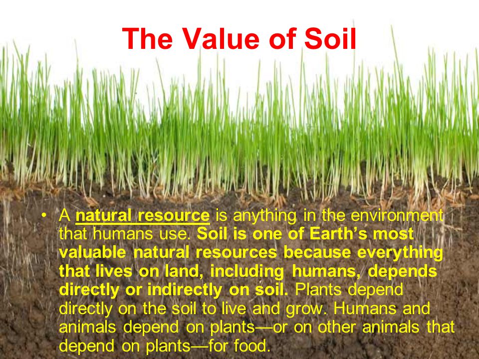 The Value of Soil