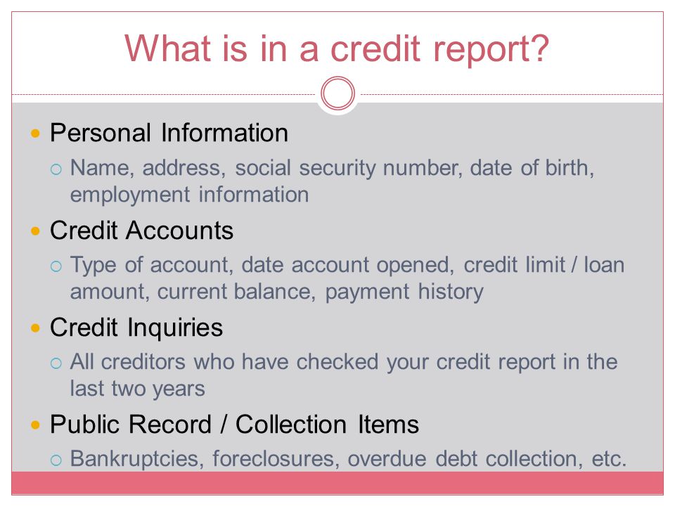 What is in a credit report