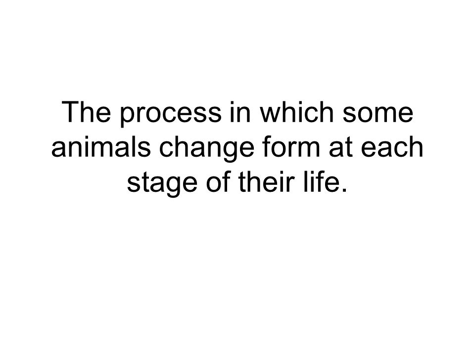 The process in which some animals change form at each stage of their life.