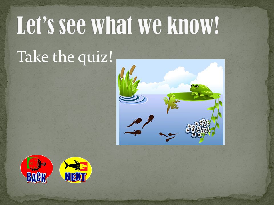 Let’s see what we know! Take the quiz! BACK NEXT