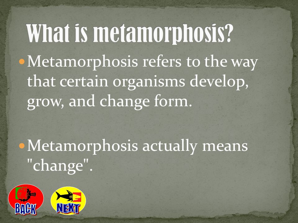 Metamorphosis actually means change .