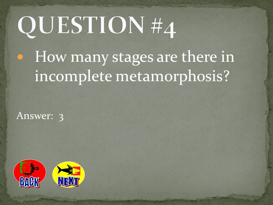 QUESTION #4 How many stages are there in incomplete metamorphosis