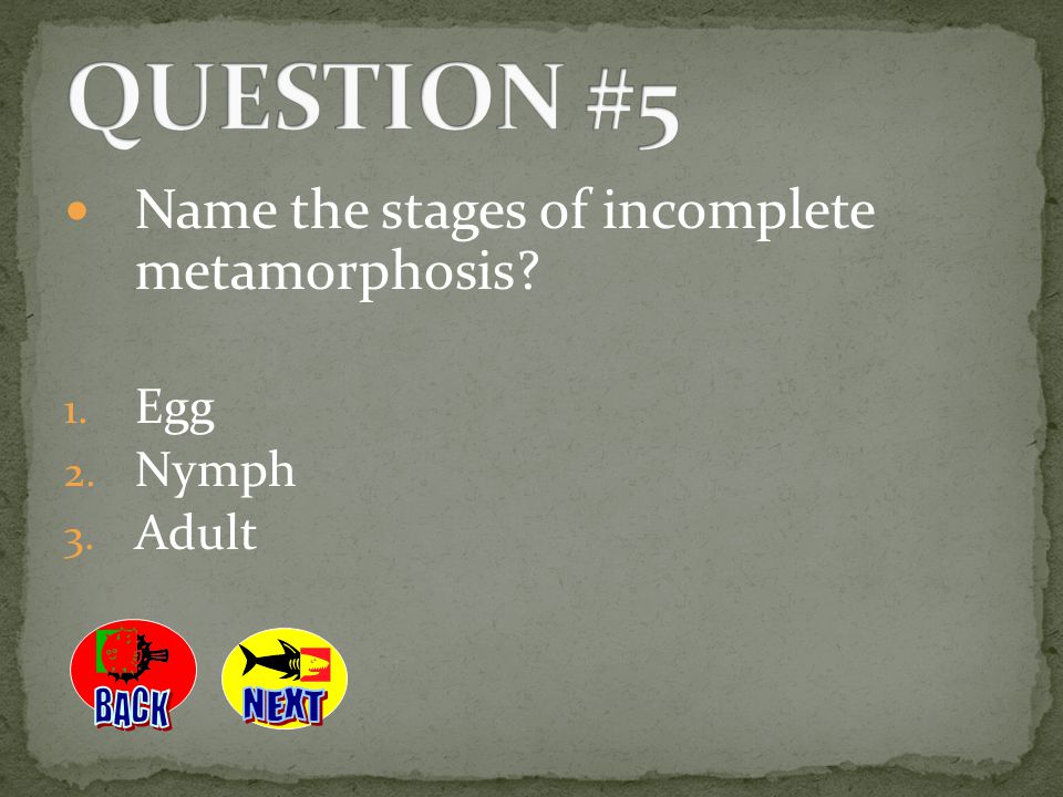 QUESTION #5 Name the stages of incomplete metamorphosis BACK NEXT Egg