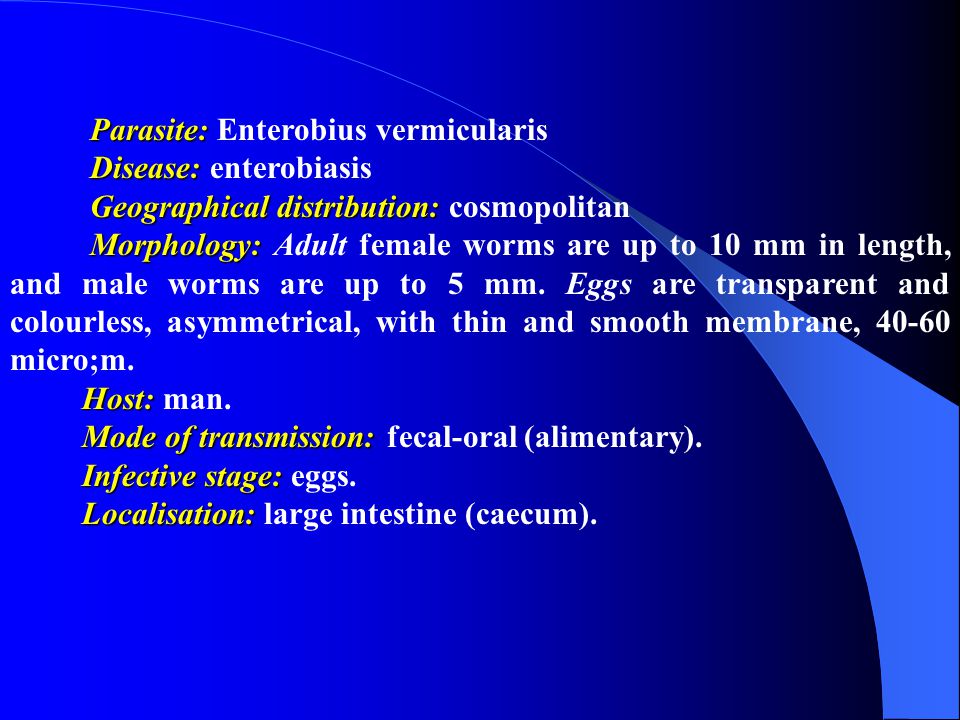 Enterobiosis localis status