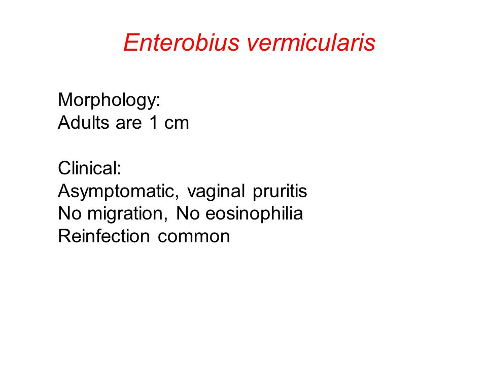 enterobius eosinophilia)