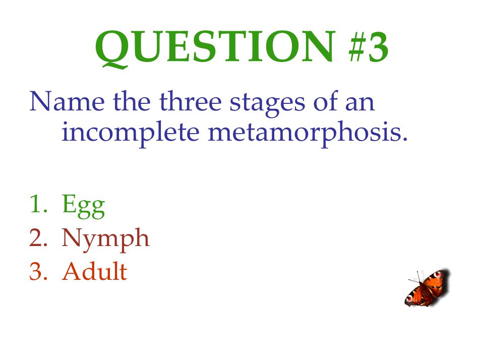 QUESTION #3 Name the three stages of an incomplete metamorphosis. Egg