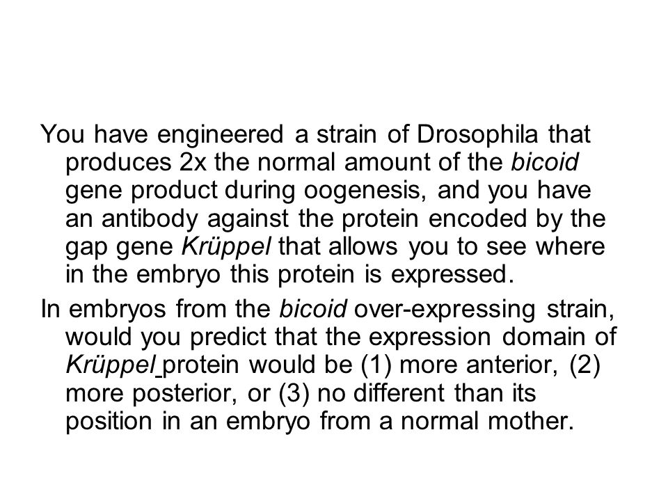 You have engineered a strain of Drosophila that produces 2x the normal amount of the bicoid gene product during oogenesis, and you have an antibody against the protein encoded by the gap gene Krüppel that allows you to see where in the embryo this protein is expressed.