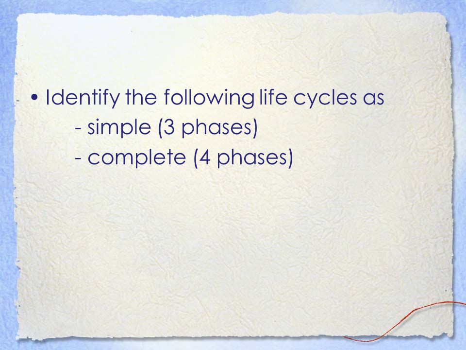 Identify the following life cycles as