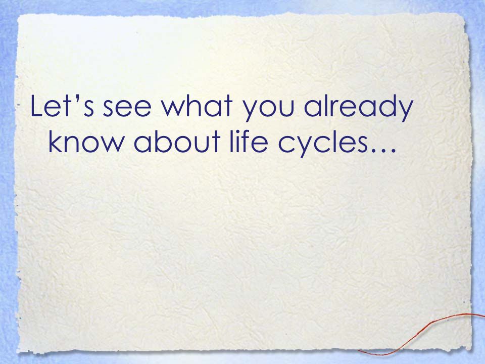 Let’s see what you already know about life cycles…