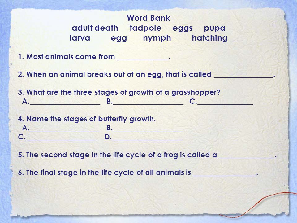 Word Bank adult death tadpole eggs pupa larva egg nymph hatching