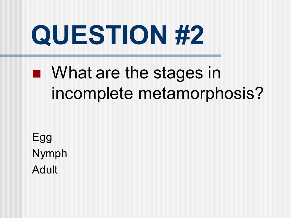 QUESTION #2 What are the stages in incomplete metamorphosis Egg Nymph