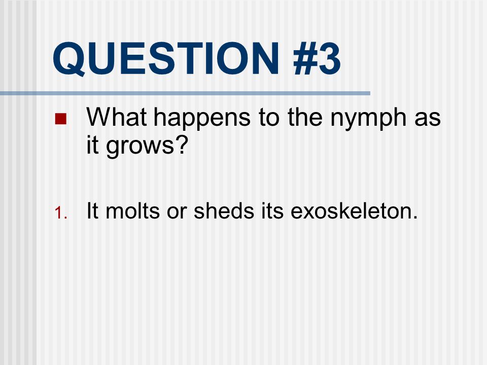 QUESTION #3 What happens to the nymph as it grows