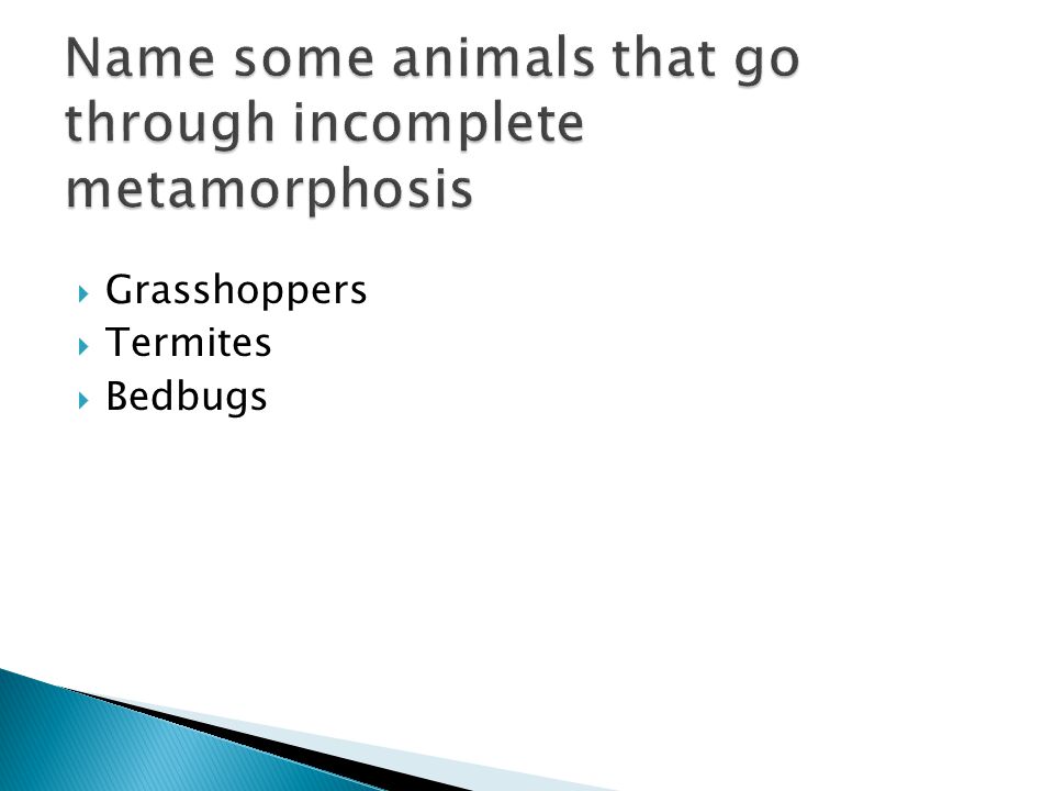 Name some animals that go through incomplete metamorphosis