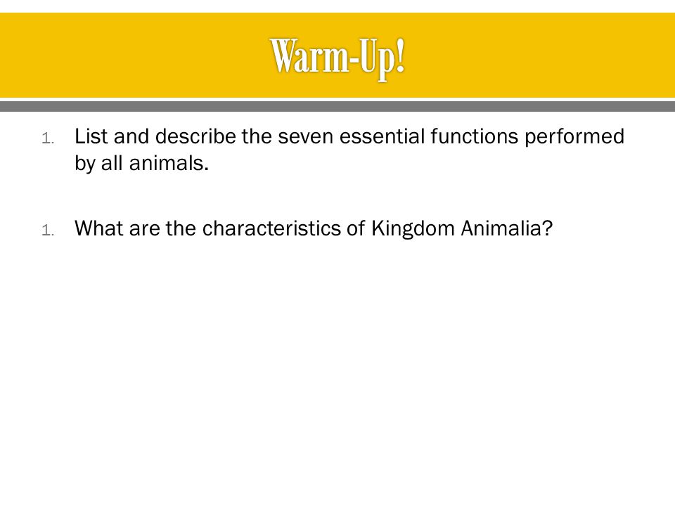 Warm-Up. List and describe the seven essential functions performed by all animals.