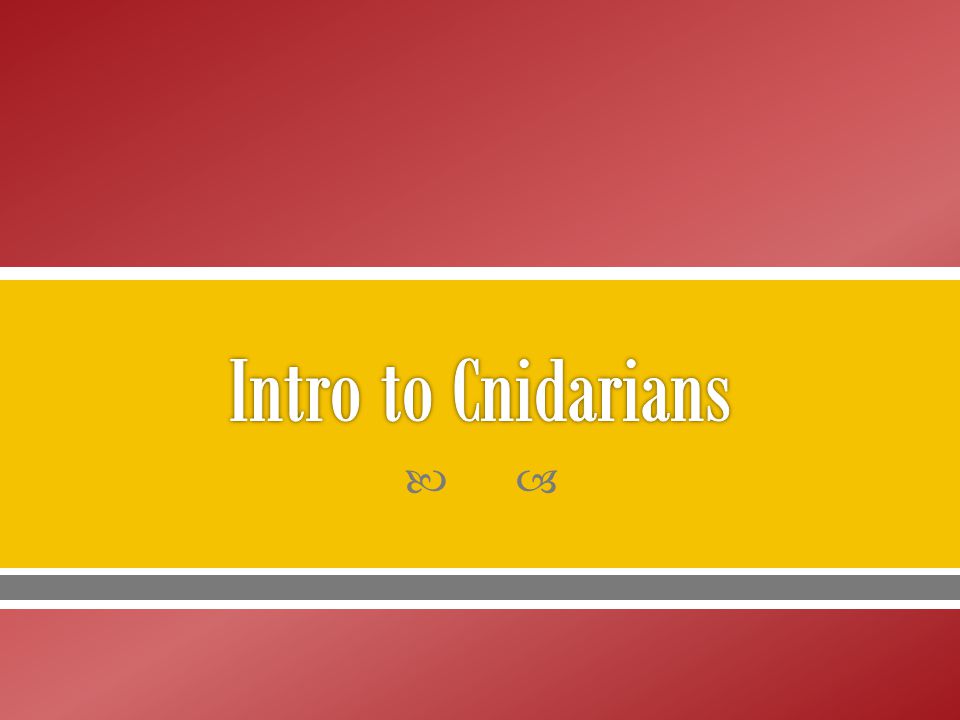 Intro to Cnidarians