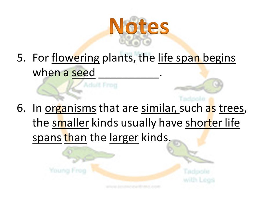 Notes For flowering plants, the life span begins when a seed __________.