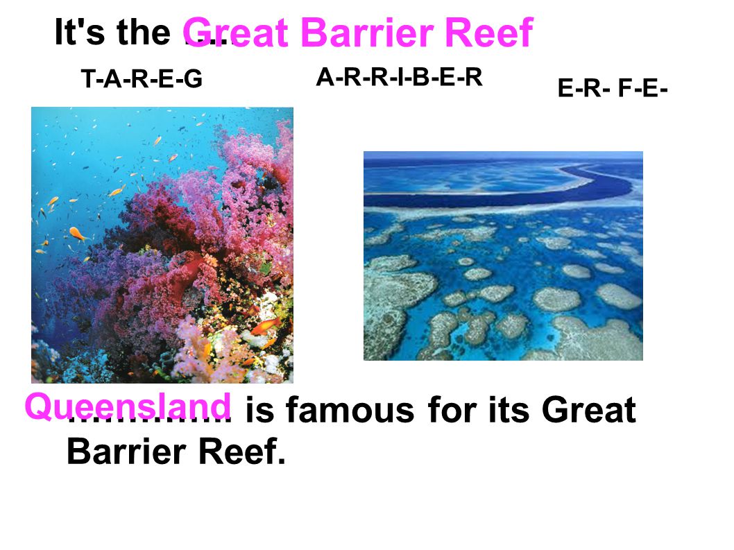 Great Barrier Reef It s the ….. Queensland